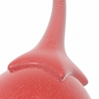 Chili Pepper - Thumbnail 9