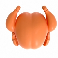 Chicken - Thumbnail 8