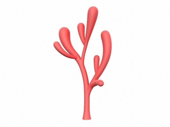 Coral 3D Print 265134