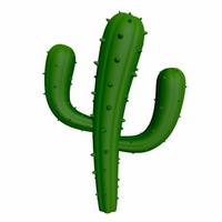 Cactus - Thumbnail 2