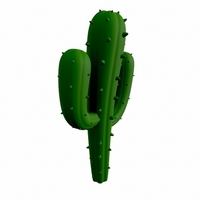 Cactus - Thumbnail 3