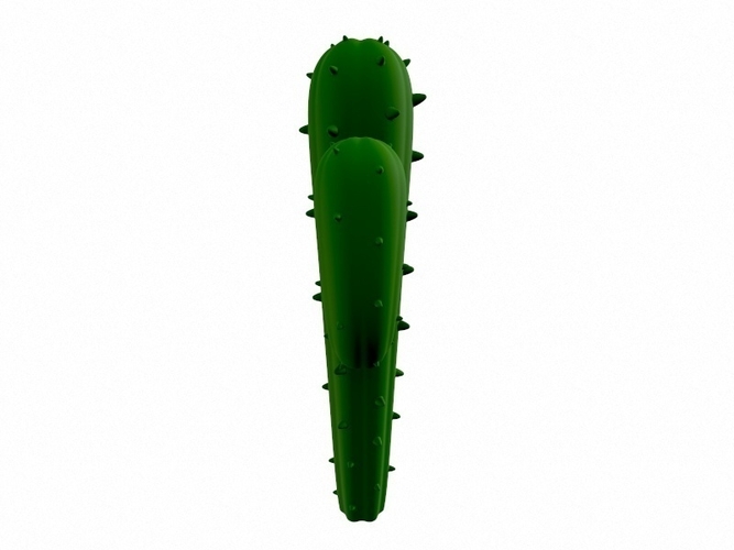 Cactus 3D Print 265145