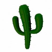 Cactus - Thumbnail 5