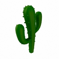Cactus - Thumbnail 6