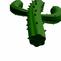 Cactus - Thumbnail 8