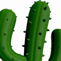 Cactus - Thumbnail 9