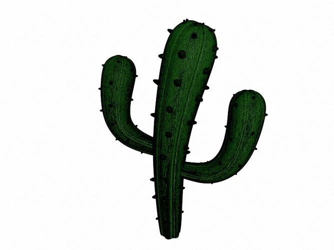 Cactus 3D Print 265151