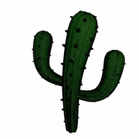 Cactus - Thumbnail 10