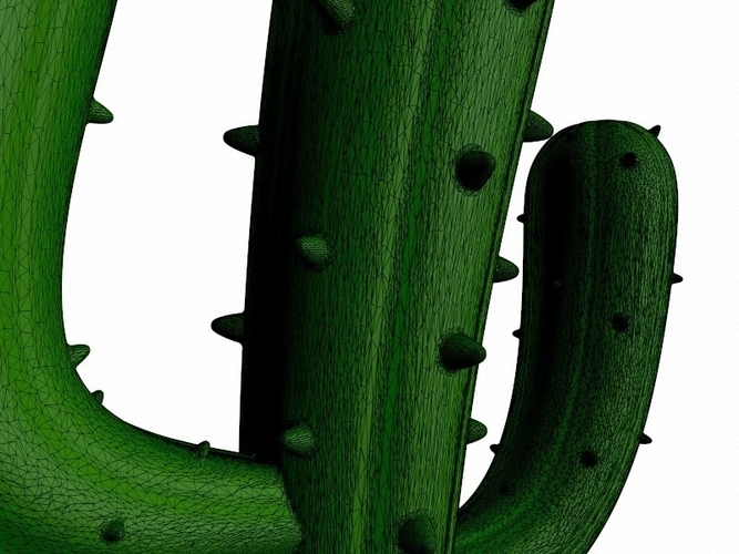 Cactus 3D Print 265152
