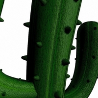 Cactus - Thumbnail 11