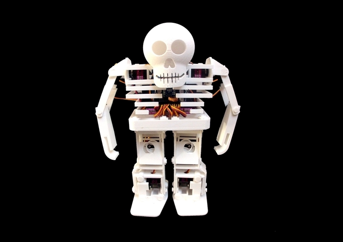 BONES the Humanoid Robot 3D Print 265335