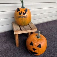 Mr. Pumpkin Head/Jack O Lantern/Scary Face/Kids Halloween Craft - Thumbnail 4