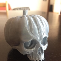 Pumpkin skull - Thumbnail 2