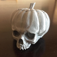 Pumpkin skull - Thumbnail 3