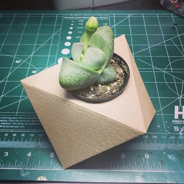Geometric Planter
