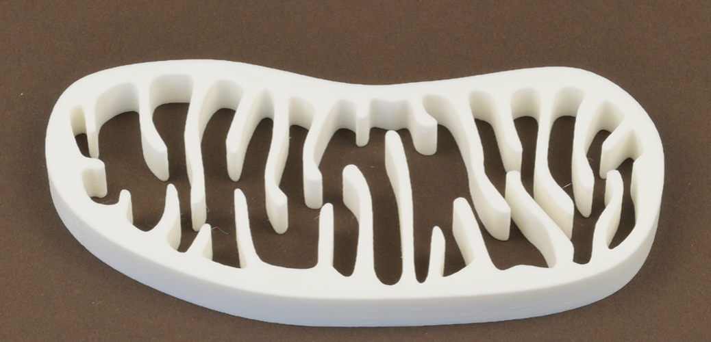 Mitochondria 3D Print 265833