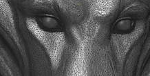 Image 266010