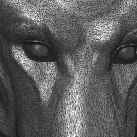Wolf head relief - Thumbnail 12