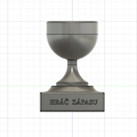 trophy - pohar - Thumbnail 1
