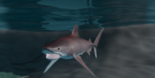 Image 266457