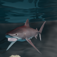 Tigershark - Thumbnail 1