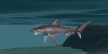 Image 266458