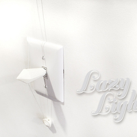 Small Lazy Light System 3D Printing 26758