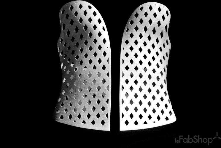  Full 3D printed Corset 3D Print 2678