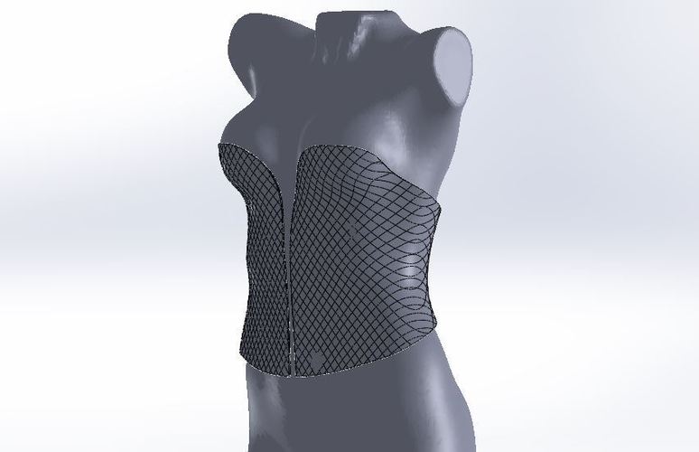  Full 3D printed Corset 3D Print 2679