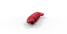 Image 268672