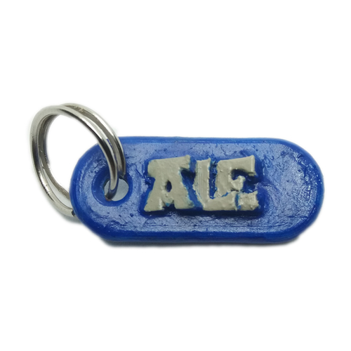 ALE Personalized keychain embossed letters 3D Print 269225