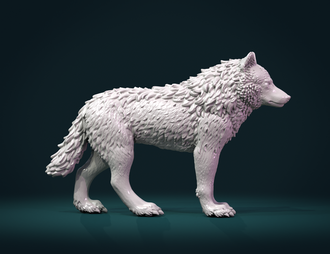 Wolf III 3D Print 269365
