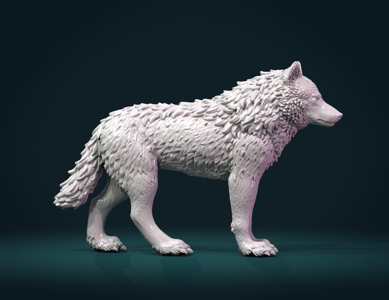 Wolf III
