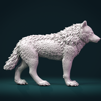 Small Wolf III 3D Printing 269365