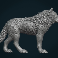 Wolf III - Thumbnail 5