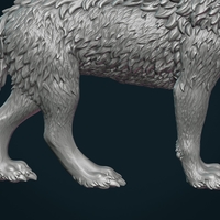 Wolf III - Thumbnail 8