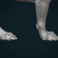 Wolf III - Thumbnail 9