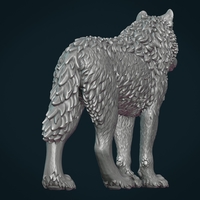 Wolf III - Thumbnail 10