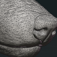 Wolf III - Thumbnail 20