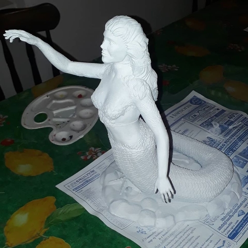 Siren 3D Print 269614