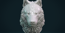 Image 269634