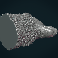 Wolf Head III - Thumbnail 10