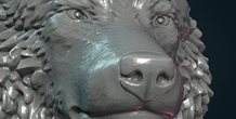 Image 269646