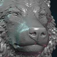 Wolf Head III - Thumbnail 13