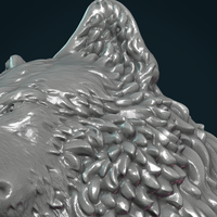 Wolf Head III - Thumbnail 14