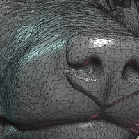 Wolf Head III - Thumbnail 17