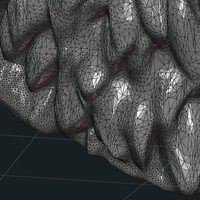 Wolf Head III - Thumbnail 18