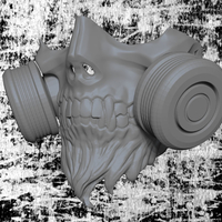 Small Skull Gas Mask 3D Printing 269826