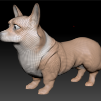  Welsh Corgi - Thumbnail 2