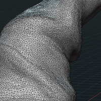 Gnome Cap II - Thumbnail 9